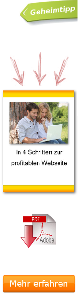 In 4 Schritten zur profitablen Webseite